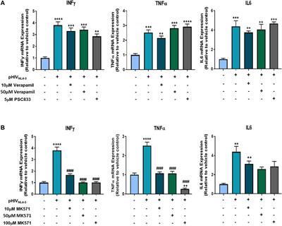 Regulation of ABC Drug Efflux Transporters in Human T-Cells Exposed to an HIV Pseudotype
